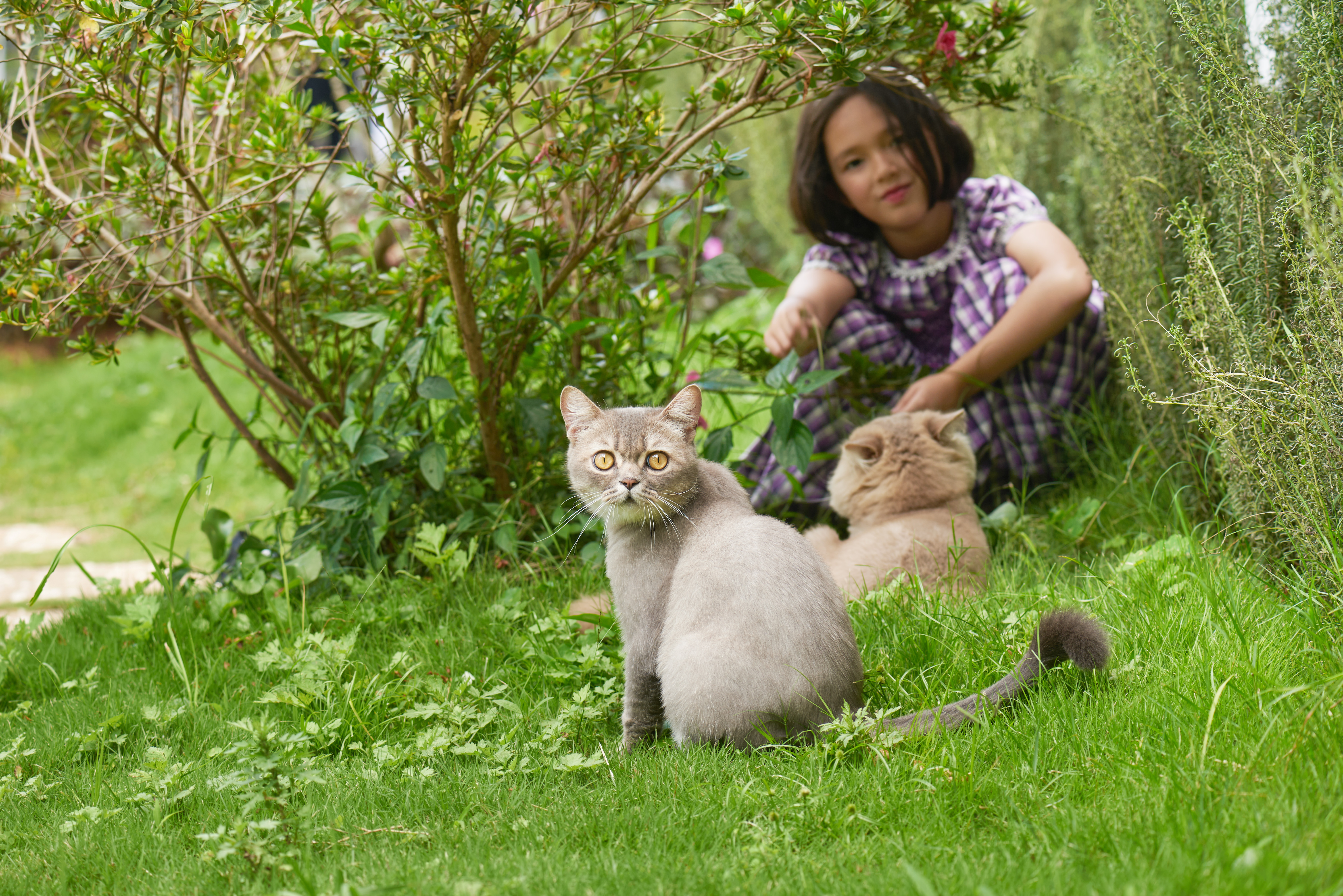 Không gian sân vườn ban ngày