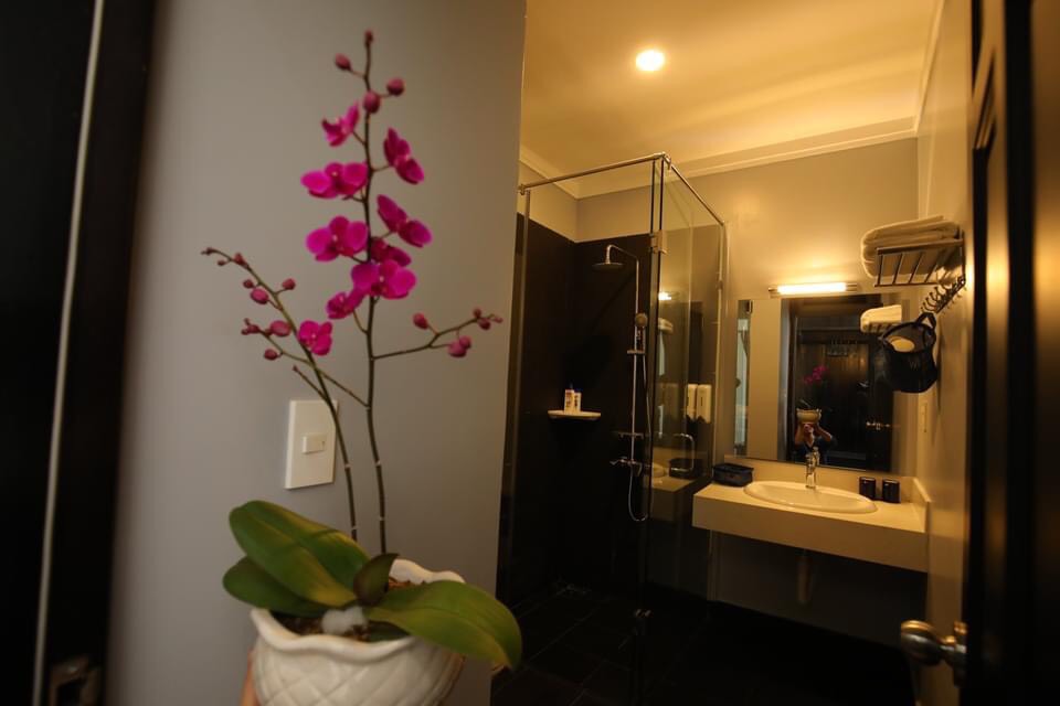 Phòng Triple Garden — chi tiết